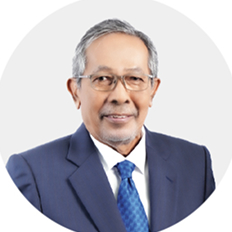 Datuk Ir. Annies <br />
bin Md. Ariff