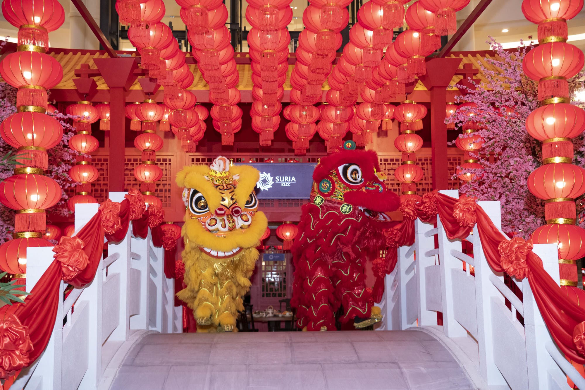 Indoor Lion Dance 3.jpg